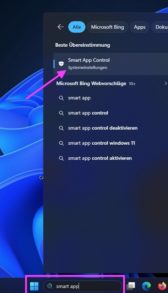 smart-app-control-teamviewer im Startmenü